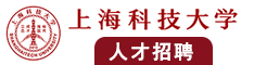 大鸡吧猛操阴道视频无打码