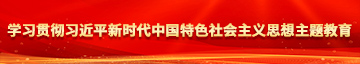 男人鸡鸡插入女人小穴学习贯彻习近平新时代中国特色社会主义思想主题教育